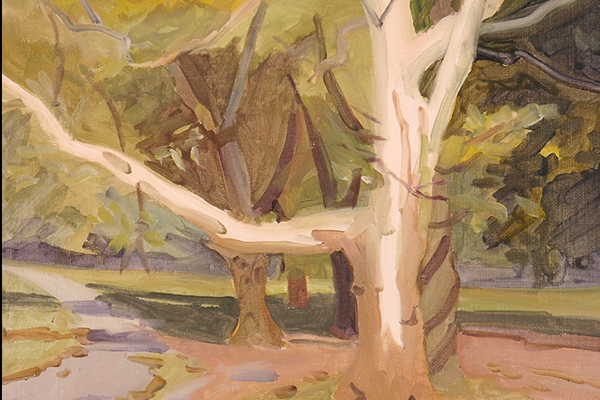 Prospect Park Tree, 12 x 12, oil on canvas, 2019